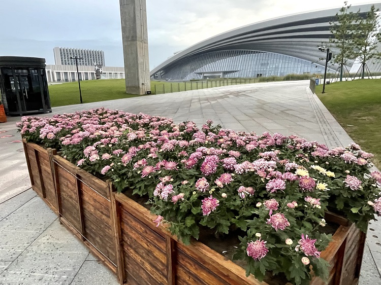 微信图片_20230926104413.jpg 微信图片_20230926104413.jpg