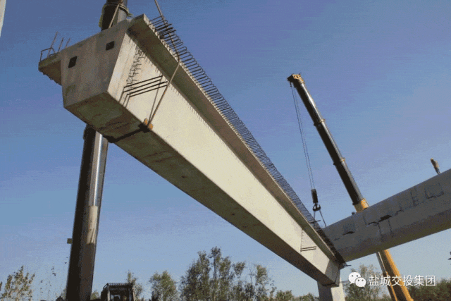 1.gif 1.gif